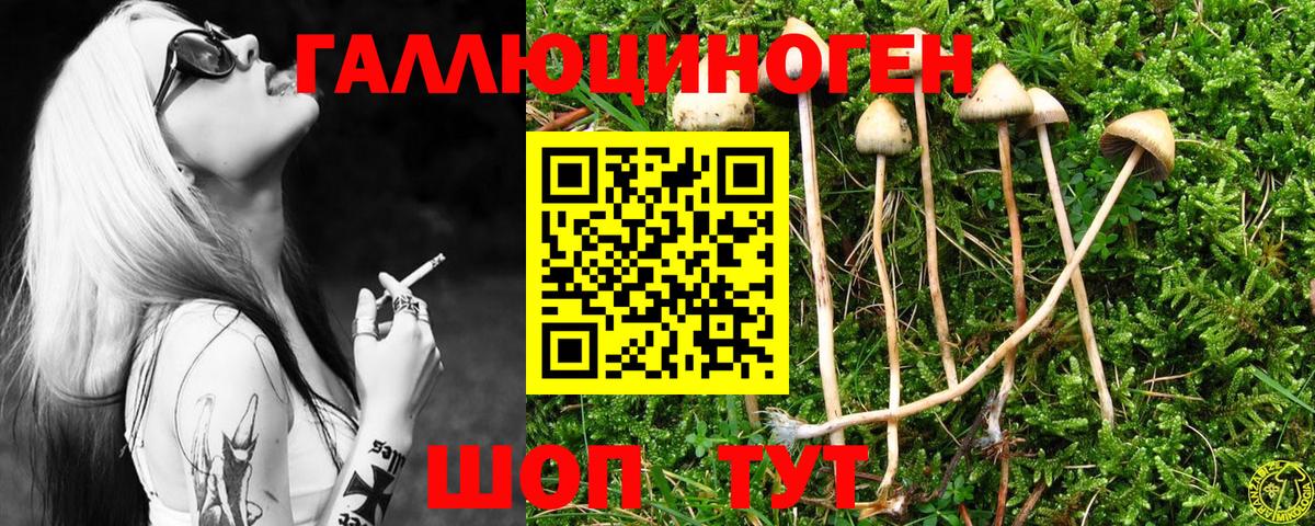 Псилоцибиновые грибы прущие грибы  Вход с VPN  цены   Галлюциногенные грибы мухоморы  Шахты 