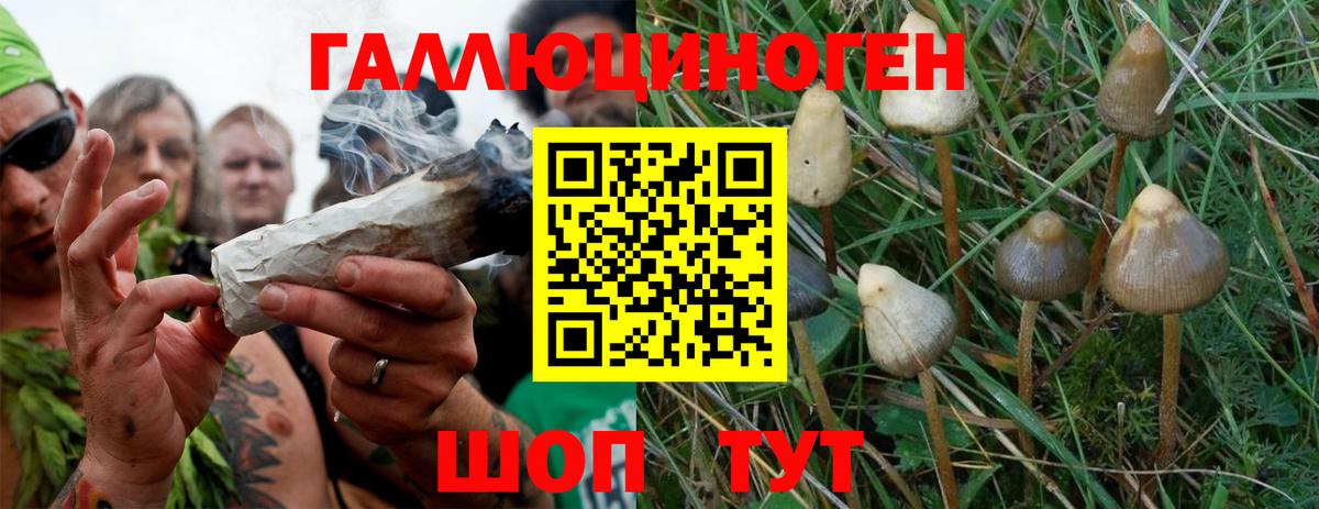 Галлюциногенные грибы ЛСД Шахты
